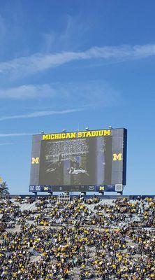 Vintage scoreboard...2016