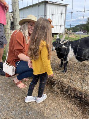 Feeding the goats