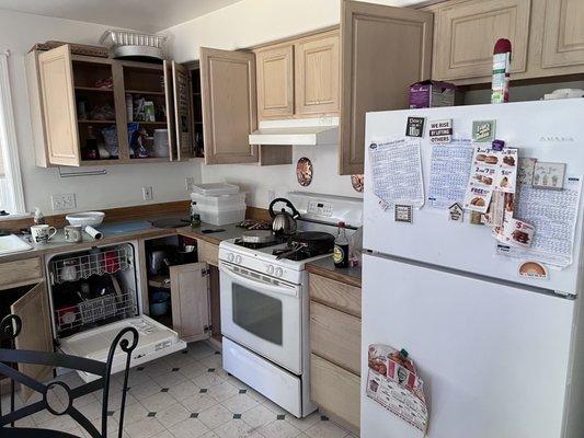 kitchen clean out and removal of unusable items