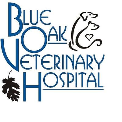 Offering compassionate and open-minded support for animals and their families within a healing environment