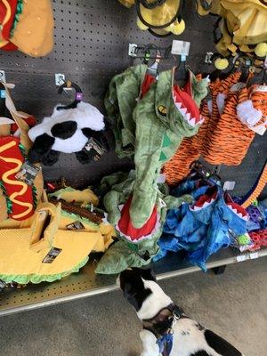 Petco. Halloween Costumes