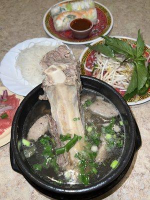 Pho Đặc Biệt (#1) & Spring Rolls