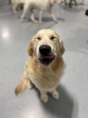 He loves it at Blue Water Pet Care!