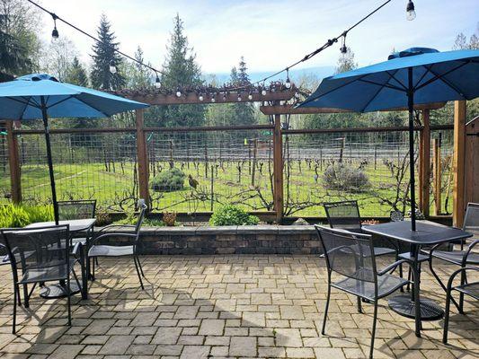 Patio seating with views of the vines