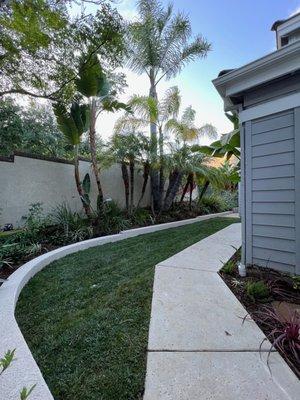 AFTER: Side yard w/ concrete removed, grass planted, more drains that work and an awesome drip irrigation system - plus stucco over bricks