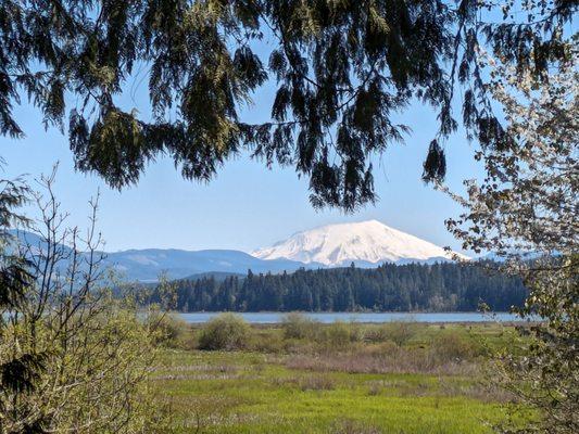 View from the visitors center sidewalk