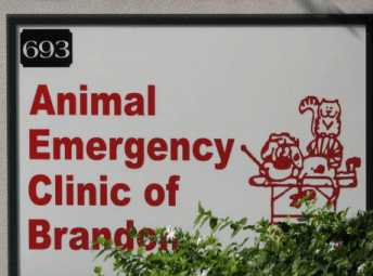 Animal Emergency Clinic of Brandon logo