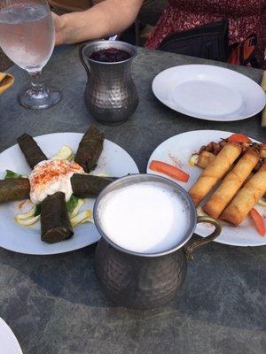 Dolmas, cigarette borek, ayran, & salgam