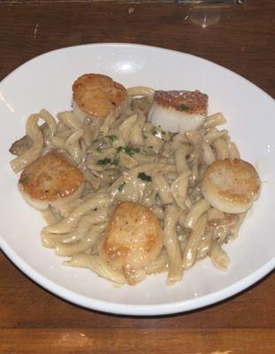 Scallop and mushroom Garganelli