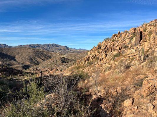 Tonto National Forest