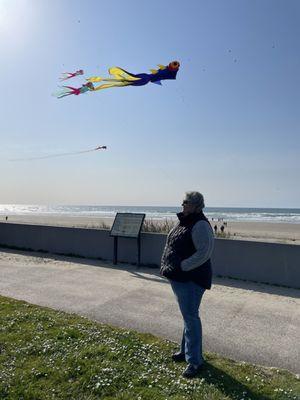 Kites at D river