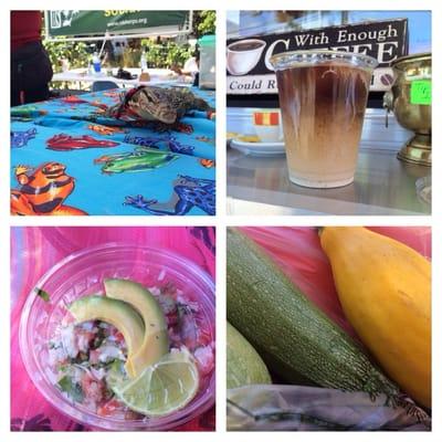 Lizards, iced coffee, ceviche & squash