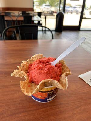 Watermelon  sorbet