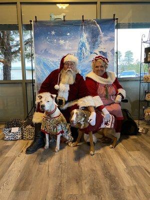 Dogs with Santa