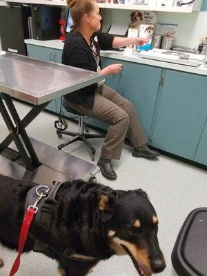 Table goes up and down.  The vet likes the dog on the table.  Alley was scared.