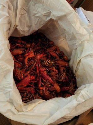 Perfectly seasoned crawfish!