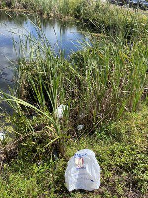 Zaxby's plastic bags in the pond