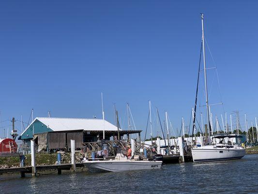 Blue Marlin Fuel Dock Marina