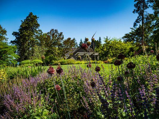 Bellevue Botanical Garden