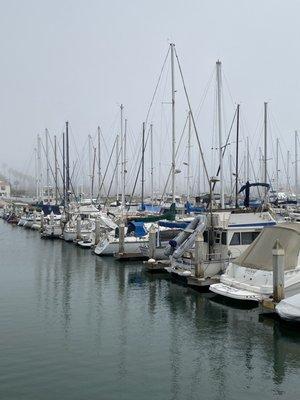 The docked boats ...