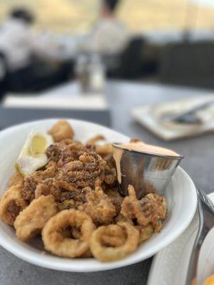 Fried Calamari