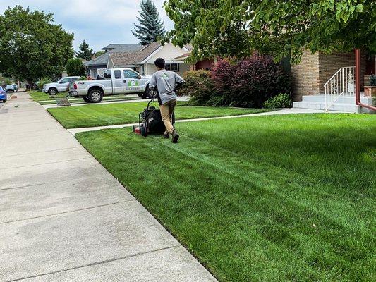 Grass cutting