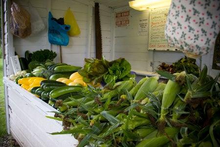 North Corner Farm