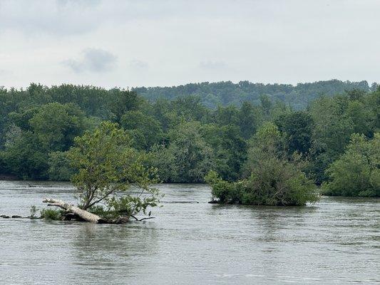 Susquehanna River