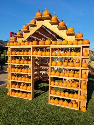 Pumpkin House