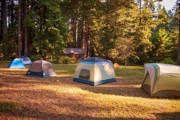 The west side camping meadow provides ample space for an additional 20 guests. (In addition to the 20 cabin beds.)