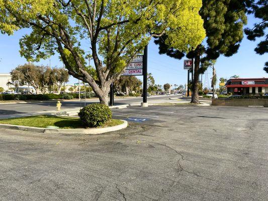 Plenty parking spaces. Office is easy to find from Avalon Blvd.