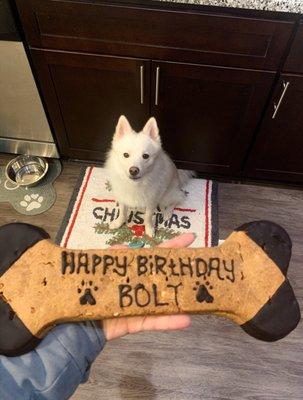 Giant birthday bone!