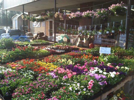 Main Street Lawn and Garden Shop in Rural Hall, NC