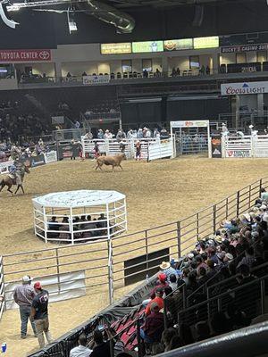 Great seats, but you can actually pay to sit inside the ring??? Wow!