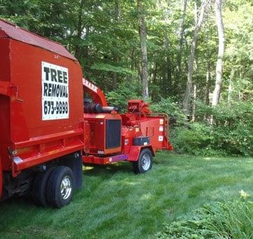 CC&L Tree Service