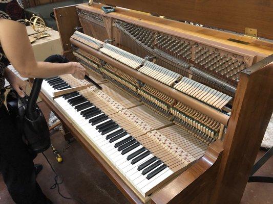 Kelly at work on this old piano of mine.