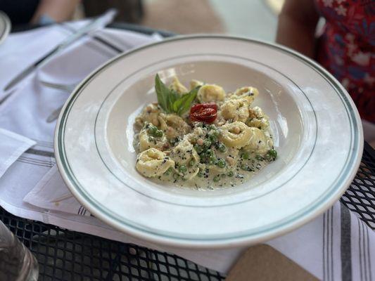 Tortellini con Pesto