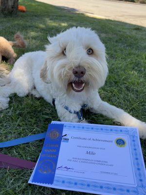 Milo being awarded his CGC certificate