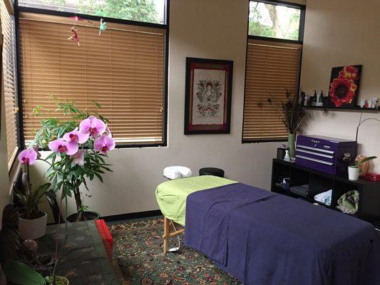 Acupuncture Treatment Room