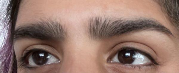 My natural brows today *haven't waxed them since this ordeal* (After months of growing them back)