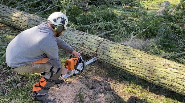 Broad Acre Tree Care