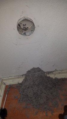 Frisco dryer vent clogged with wet lint