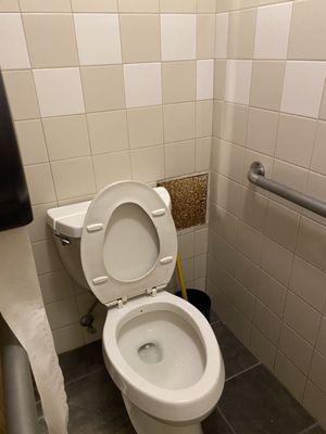 Toilet that does the job. Sit or squat?