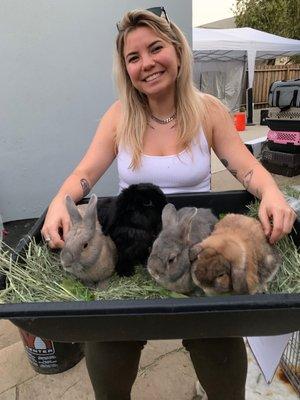 all but one bunny adopted through BWF