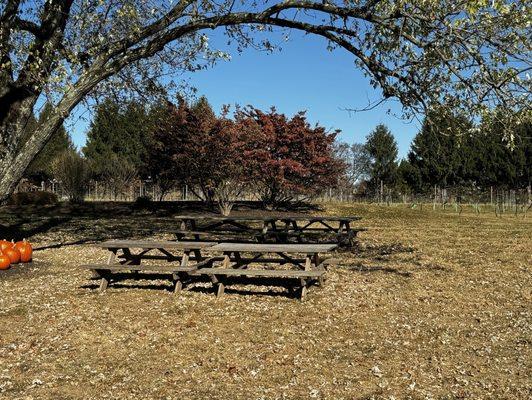 Outdoor tables