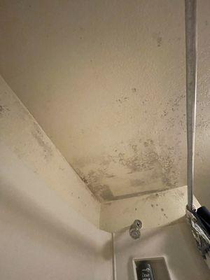 Mold in the bathroom