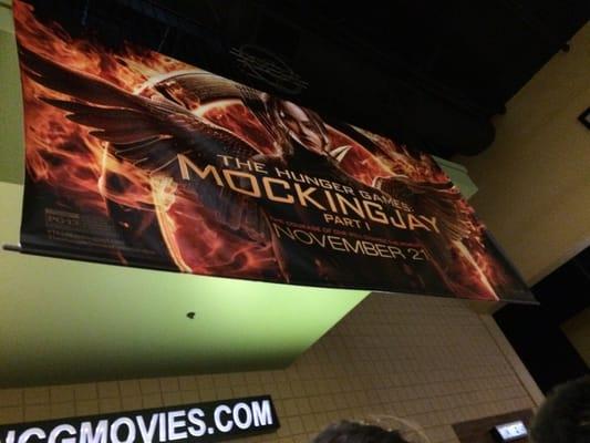 Mockingjay opening.....