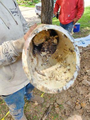 Part of the main sewer line we cut out filled with grease!