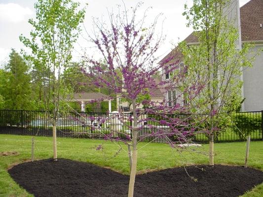 Mulch and Tree Install Skippack , PA