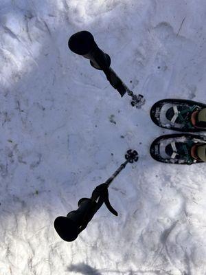 Snowshoeing adventure.